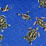 Turtle Fun