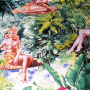 Island Pin-Up Girls