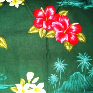 Olive Green with Bright Red Flowers