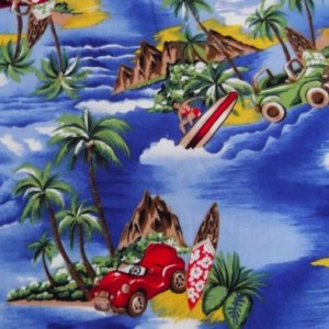 Islands and Surfers