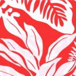 Red with White Leaves
