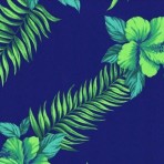 Hibiscus on Blue