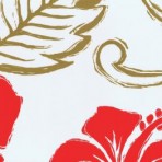 Red Hibiscus Sketch