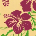 Fuchsia Cream Hibiscus Sketch