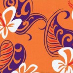 Orange with Purple Flowers