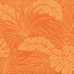 Orange on Orange Leaves
