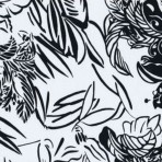 Tropical Sketch