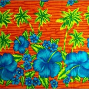 Blue Hibiscus