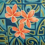 Plumeria