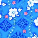 Hibiscus on Blue