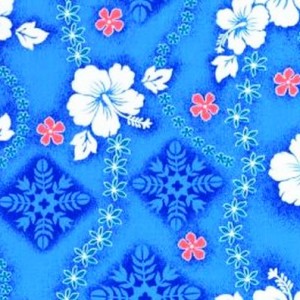Hibiscus on Blue