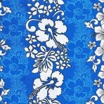 Hibiscus on Blue